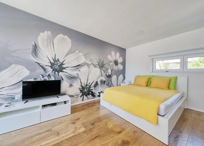 Trnovo * 卢布尔雅那