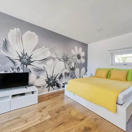 Trnovo * 류블랴나