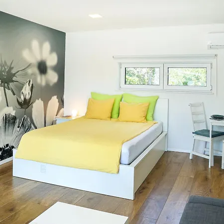 Apartment Trnovo *